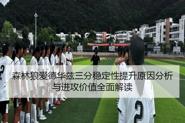 森林狼爱德华兹三分稳定性提升原因分析与进攻价值全面解读