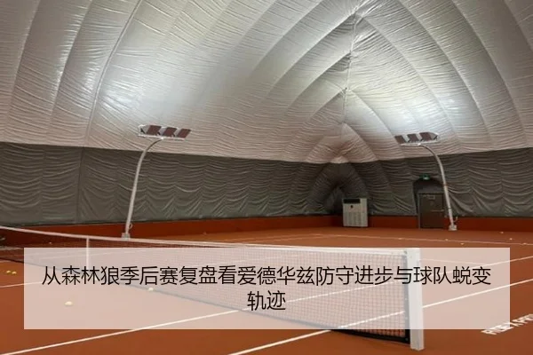 从森林狼季后赛复盘看爱德华兹防守进步与球队蜕变轨迹